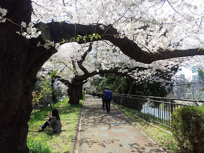 Edo Castle Outer Moat trace 사진 3