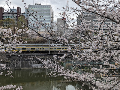 Edo Castle Outer Moat trace 사진 4