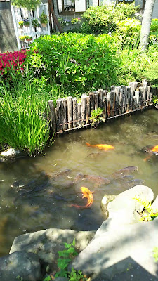 Ichinoe Sakaigawa Waterside Park 사진 2