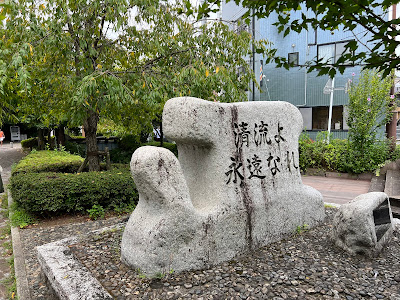 Ichinoe Sakaigawa Waterside Park 사진 4