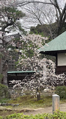 Ichinoe Nanushi Yashiki 사진 2