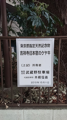 旧本宿のケヤキ 사진 2
