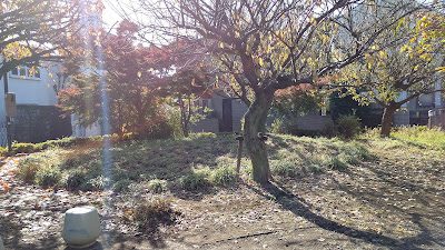 Hachimandori Park 사진 4