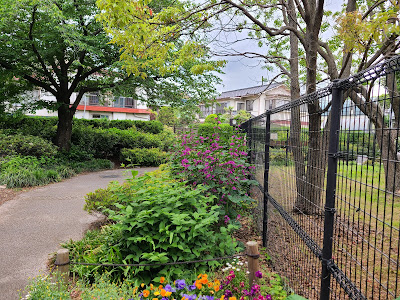 Amanuma Moegi Park 사진 4