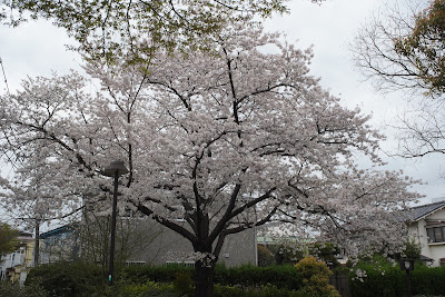 Amanuma Moegi Park 사진 5