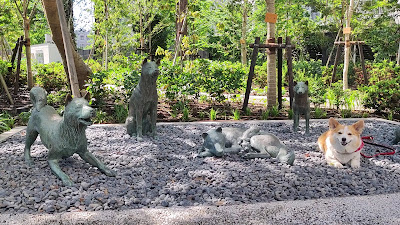 中野犬屋敷(お囲い) 사진 2