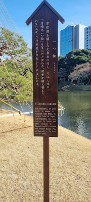 一つ松 사진 2