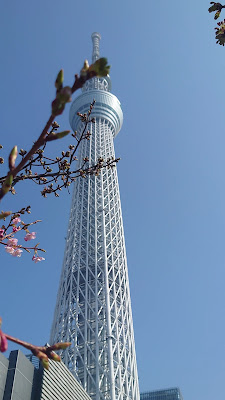 Kawazu-Zakura next to Tokyo Skytree 사진 2