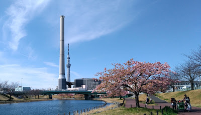 旧中川水辺公園散歩道 사진 2