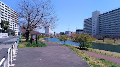 旧中川水辺公園散歩道 사진 3
