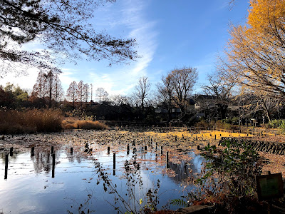 Zenpukuji-Ike Lower Pond 사진 3