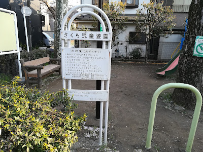Sakura Children's Playground 사진 4