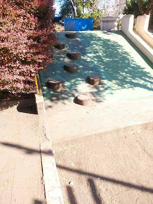 Zenpukuji Itchome Park 사진 5