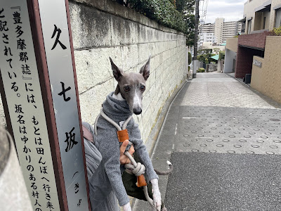 久七坂 사진 3
