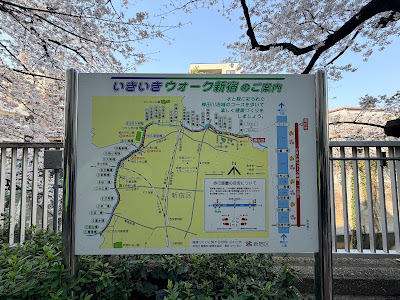 神田川の桜並木 (早稲田) 사진 5