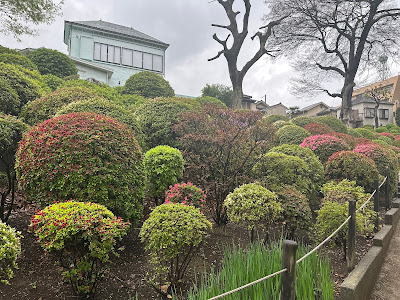 弥生正緑館 사진 5
