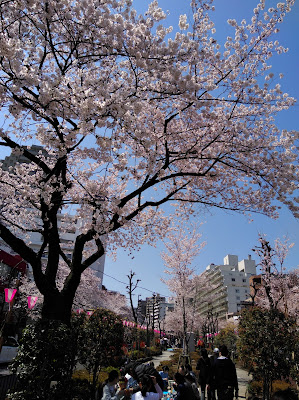 Harimazaka Sakura-namiki 사진 4
