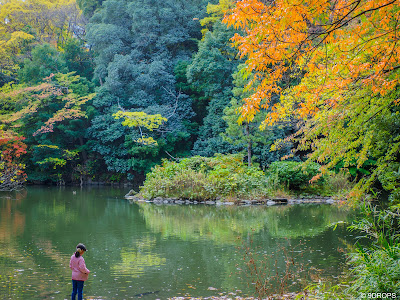 산시로노이케 사진 4