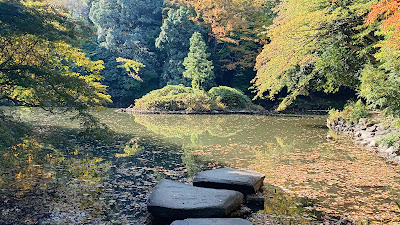 산시로노이케 사진 5