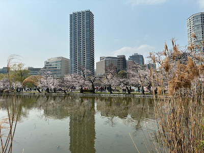 包丁塚 사진 3