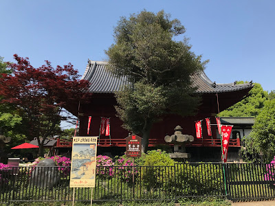 清水観音堂の月の松 사진 3