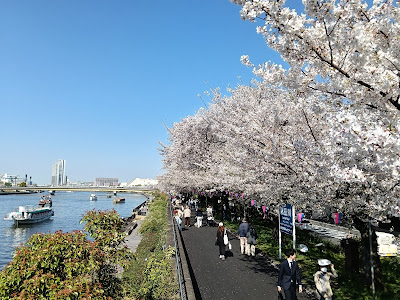 隅田川テラス周辺案内図 (桜橋) 사진 4
