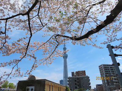 隅田公園 散策解説板⑦ 艇 庫 と レ ガ ッ タ 사진 3