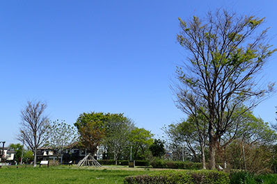 Shitanoya Heritage Park 사진 3