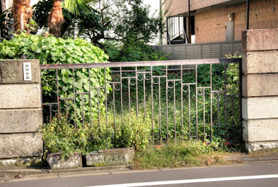 江古田植物化石層発見の地 사진 2