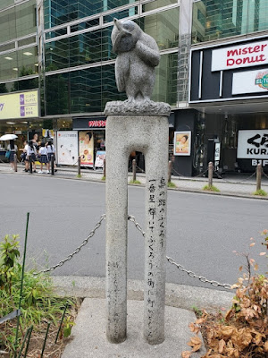 Owl on the Owl Street 사진 2