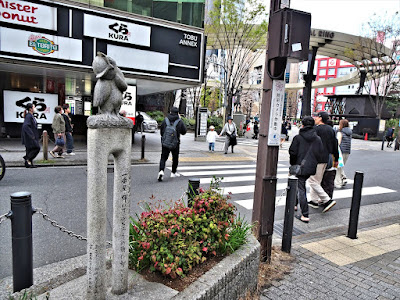 Owl on the Owl Street 사진 4
