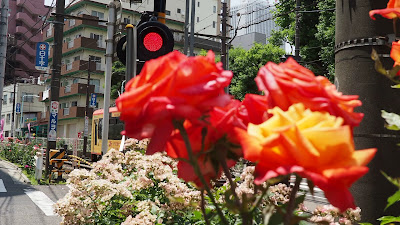 大塚バラロード 사진 2