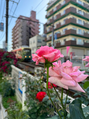 大塚バラロード 사진 4