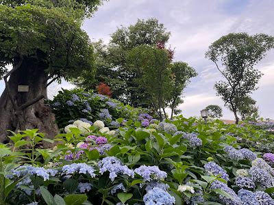 Hakusan Park 사진 3