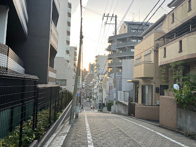 Asami-zaka Slope 사진 2