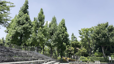 분쿄구립 교육의 숲 공원 사진 2