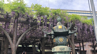 Jōkō-ji Wisteria Trellis 사진 2