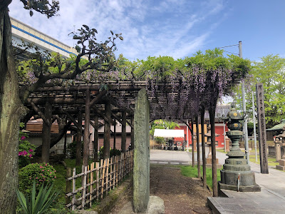 Jōkō-ji Wisteria Trellis 사진 5