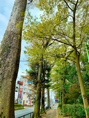 田柄用水跡 사진 4