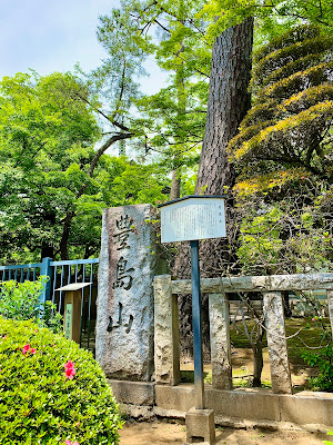 Black Pine of Dojoji 사진 3