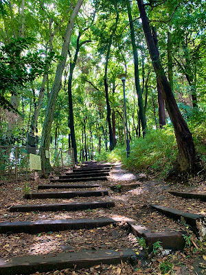 Site of Shakujii Castle 사진 3