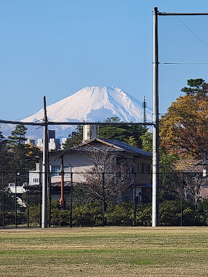 Shakujii Park Lawn 사진 4