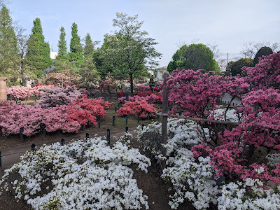 Heisei Tsutsuji Park 사진 3