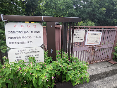 Kita-Egota Archaeological Site 사진 5