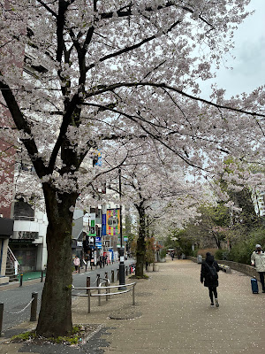 Toshima Kuritsu Ikebukuro Ekimae Park 사진 3