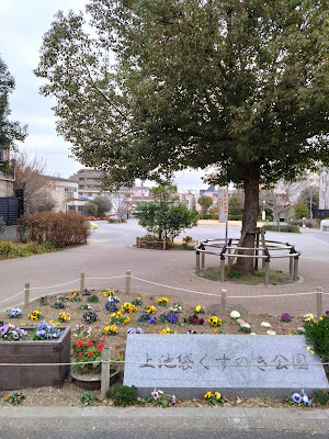 Kusunoki Park 사진 4