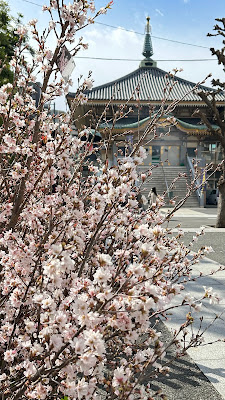 Shinshōji Temple 사진 5