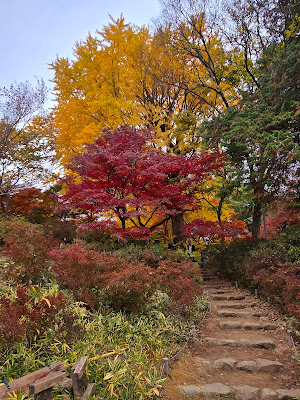 The Great Mother Weeper Cherry Tree 사진 5