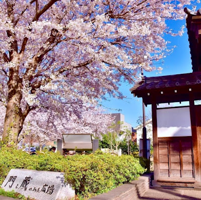 Mon to Kura no aru Hiroba 사진 5
