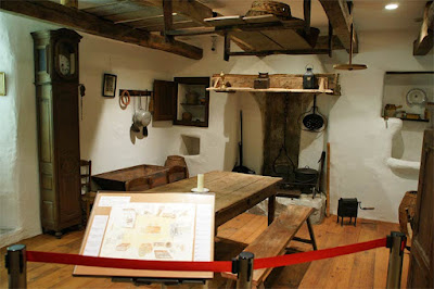 Fabre Insect Museum 사진 3